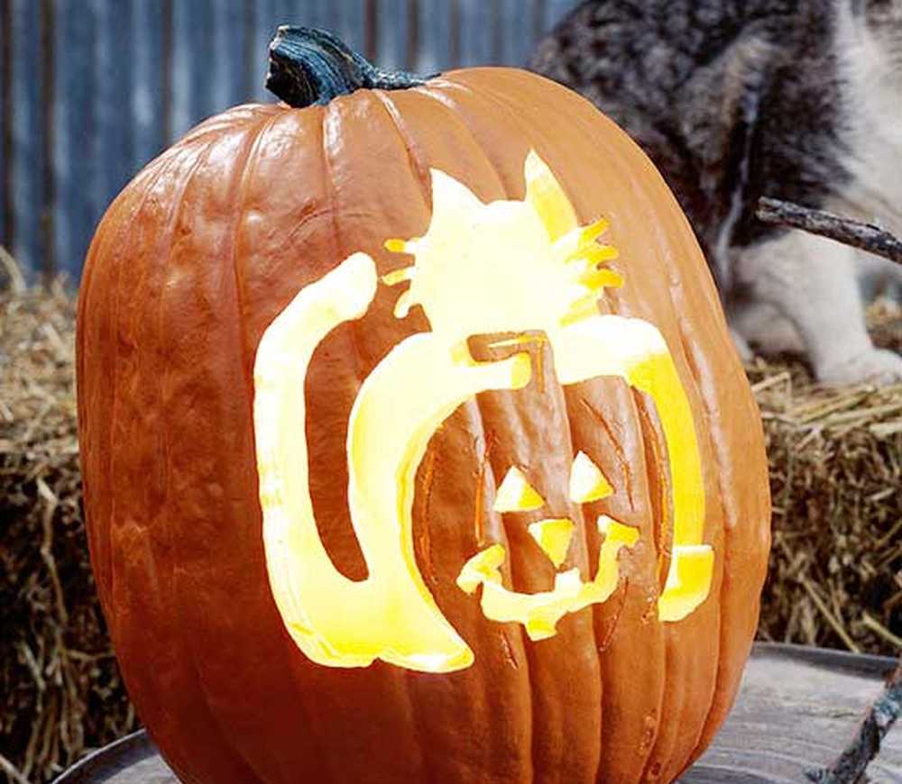 Cat-o'-Lantern Pumpkin Stencil / Víspera de Todos los Santos.