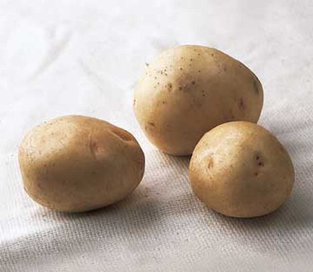 Картофель округлой формы. Картофель круглый. Картошка белая круглая. Как называется маленькая картошка круглая. Филейчики под картошку круглые коричневые.